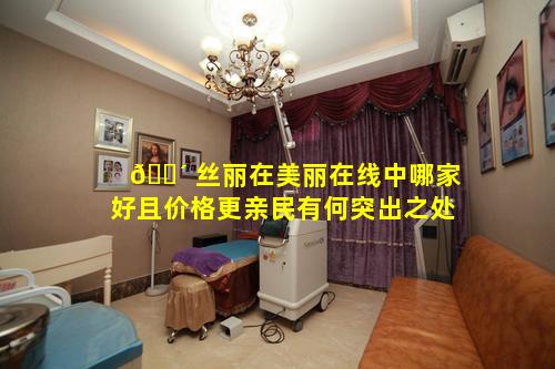 🐴 丝丽在美丽在线中哪家好且价格更亲民有何突出之处